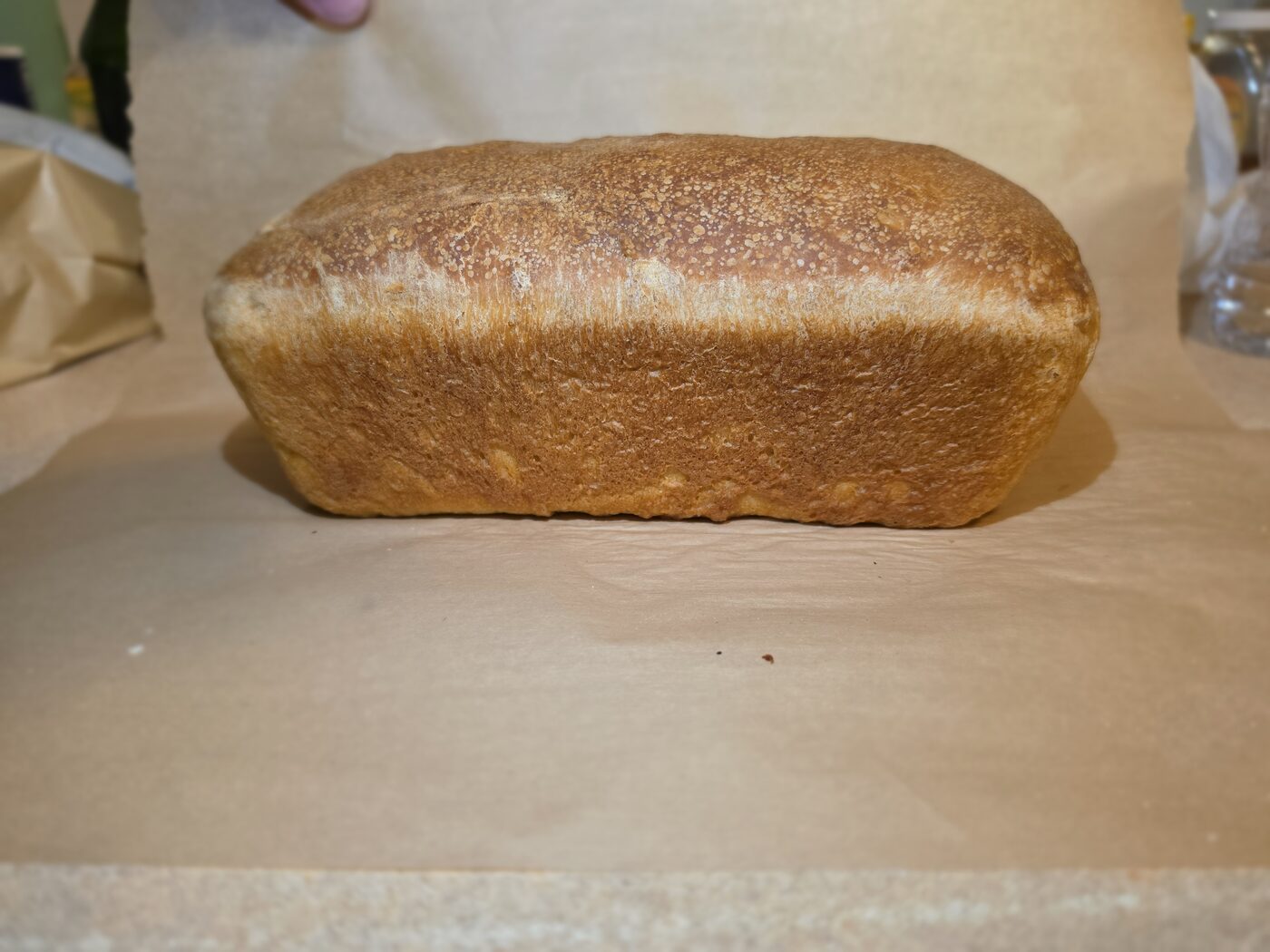 Golden-crusted sourdough sandwich loaf